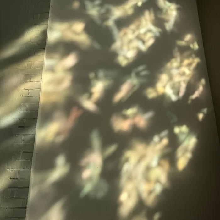 Weekly News — 26 April 2026