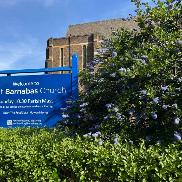 Weekly News — 9 August 2026